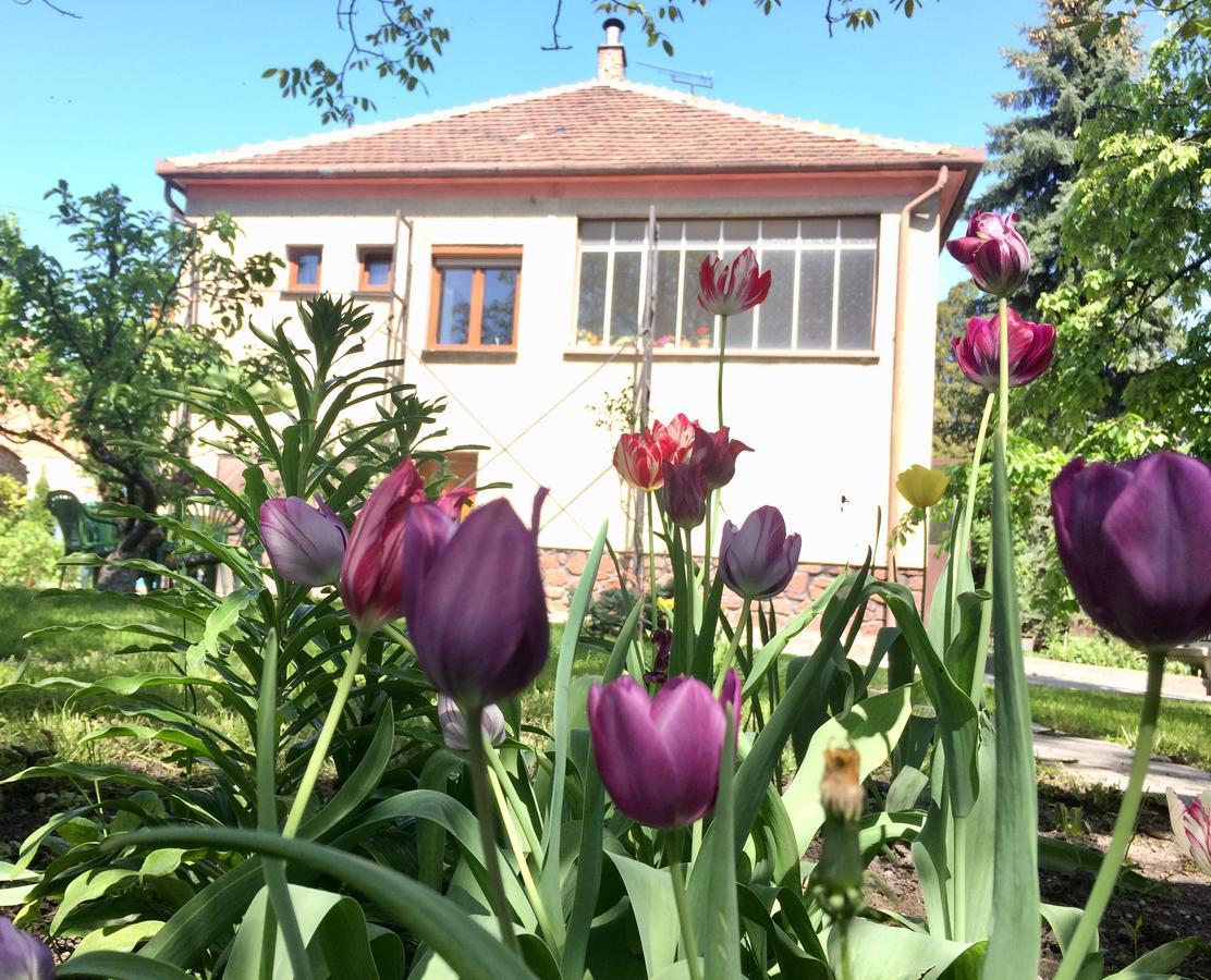 Hotel Julius Vendeghaz Šoproň Exteriér fotografie